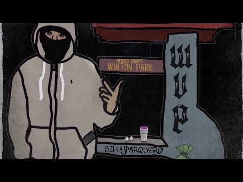 Ain’t A Diss - SillyParquero