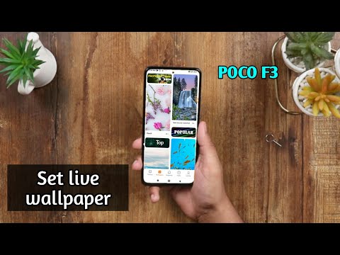 how to set the live wallpaper in Poco F3 redmi k40 Pro Mein live wallpaper Kaise badlen 2021