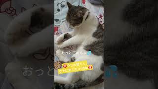 Tatsu_Pと猫 ウチに来て5周年！ #ボカロ #ねこ動画