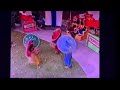 Barney Friends Season 3 Ep 6 Any Way You Slice It Cambodian Umbrella Dance