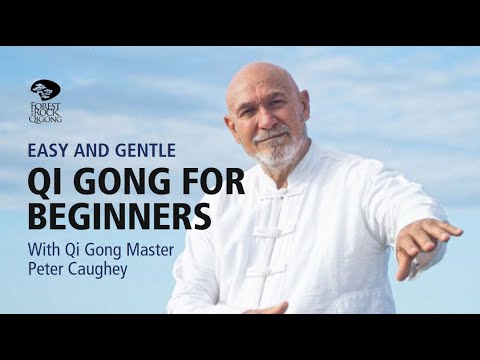 #112  “Beginner’s Qigong: Simple Qi Gong Exercises for Beginners