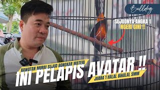 Download lagu Avatar Mabung‼️Masih Ada Pelapis Ngeri Sujudnya Extrim mp3