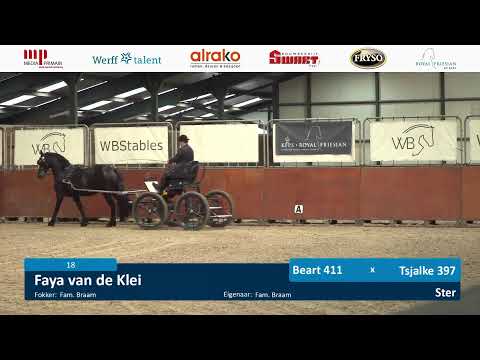 IBOP Wergea | 233 November 2023