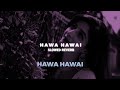 Hawa Hawai 2.0 Slowed+Reverb | Hawa Hawai