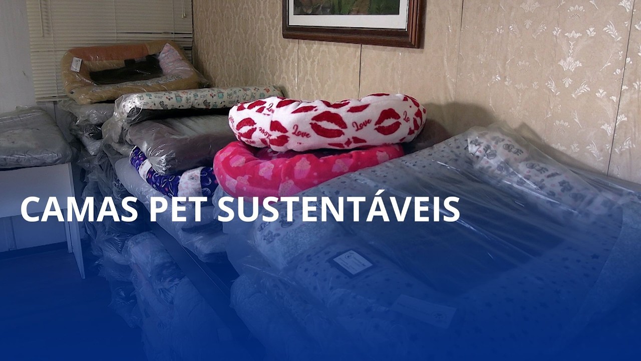 ♻️ O que seria descartado agora aquece pets