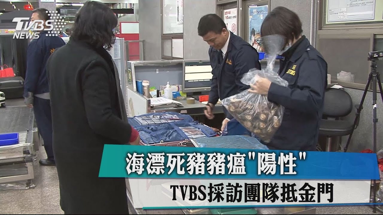 海漂死豬豬瘟"陽性" TVBS採訪團隊抵金門