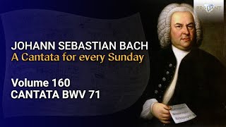 J.S. Bach: Gott ist mein König, BWV 71 - The Church Cantatas, Vol. 160