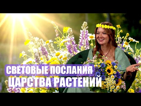 ЦАРСТВО РАСТЕНИЙ или КОРОЛЕВА ДРУИДОВ ч 1
