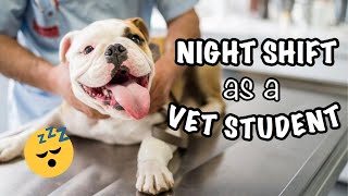OVERNIGHT SHIFT AT A VETERINARY CLINIC: week in the life of a veterinary summer student!