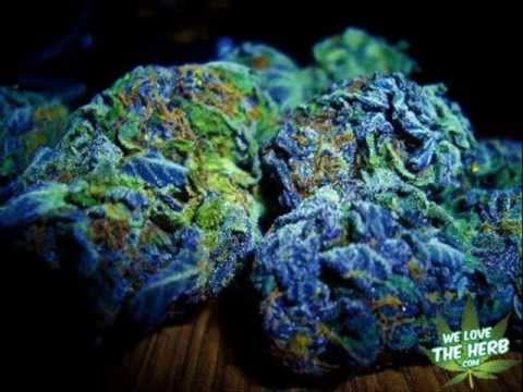 ZoneK - Topy Zajebiste