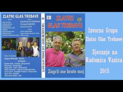 Zlatni Glas Trebave - Sjecanje na Radomira Vasica ( Official audio )  2015
