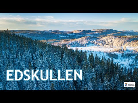 Edskullen