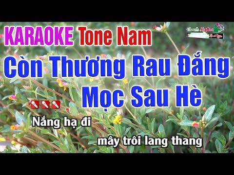 Còn Thương Rau Đắng Mọc Sau Hè Karaoke Tone Nam | Bản Chuẩn 2020 - Nhạc Sống Thanh Ngân