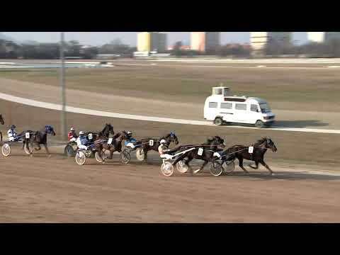 2020.02.15. 02. futam - ERIKA DÍJ