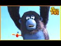 The Cube Jungle Bunch 55 Compilation Cartoon For Kids
