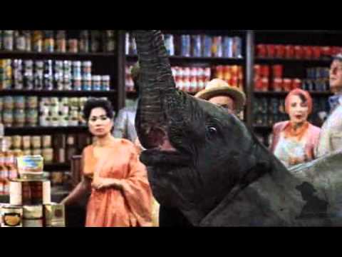 Hatari! (1962) Trailer