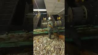 Download lagu Kapal cumi samba Taiwan mp3