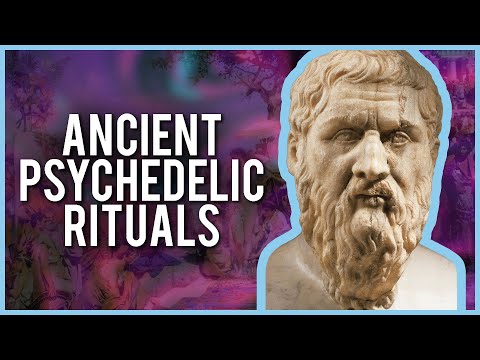 The Psychedelic Origins Of Western Civilisation - Brian Muraresku | Modern Wisdom Podcast #276