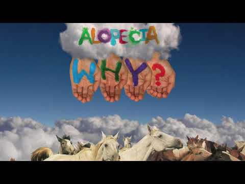 WHY? -  Simon's Dilemma (Official Audio)