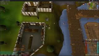 How to Train Your Cat Into Wily Cat (OSRS) (2021)