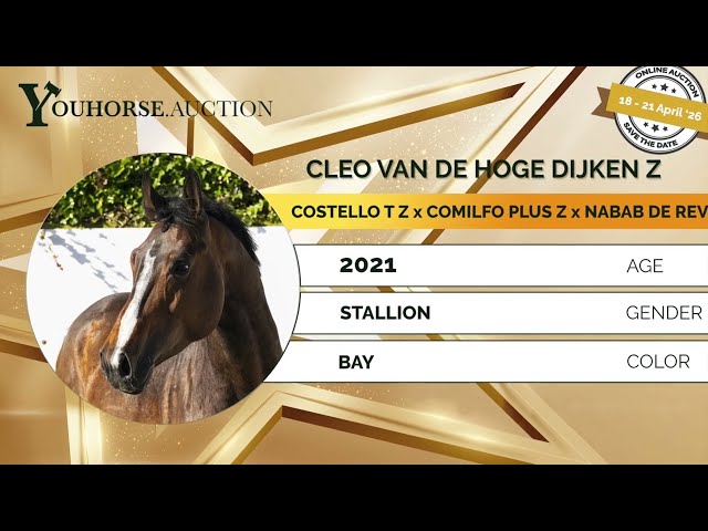 Cleo van de Hoge Dijken Z
