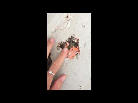 Concrete degradation sailing boat