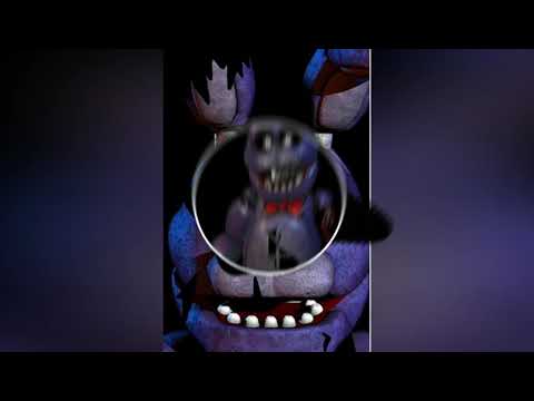 Alligator Gold-Münstä