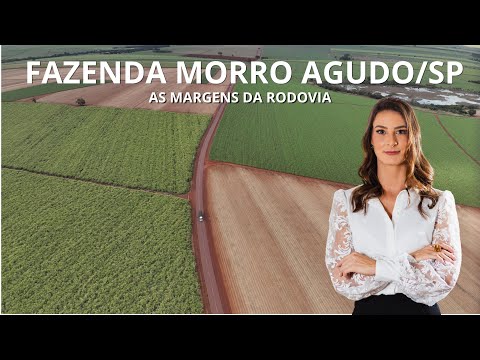 FAZENDA EM MORRO AGUDO 