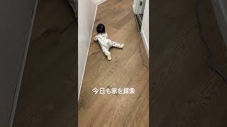 毎日家の探索が日課#shorts #海外在住ママ #メルボルン生活 #赤ちゃんのいる生活 #探索 #日課