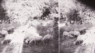 Godspeed You! Black Emperor - Asunder, Sweet, and Other Distress (EP Edit)