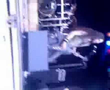 Honey for Christ - The Final Transition Live @ Rottfest 666