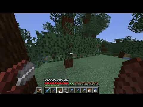 ZillyGurke - Minecraft Anarchy #048 - Full Ethical Hacking Course 2/6
