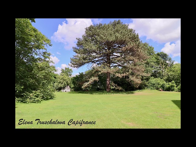 Média de Capifrance - Elena TRUSCHALOVA - n°16