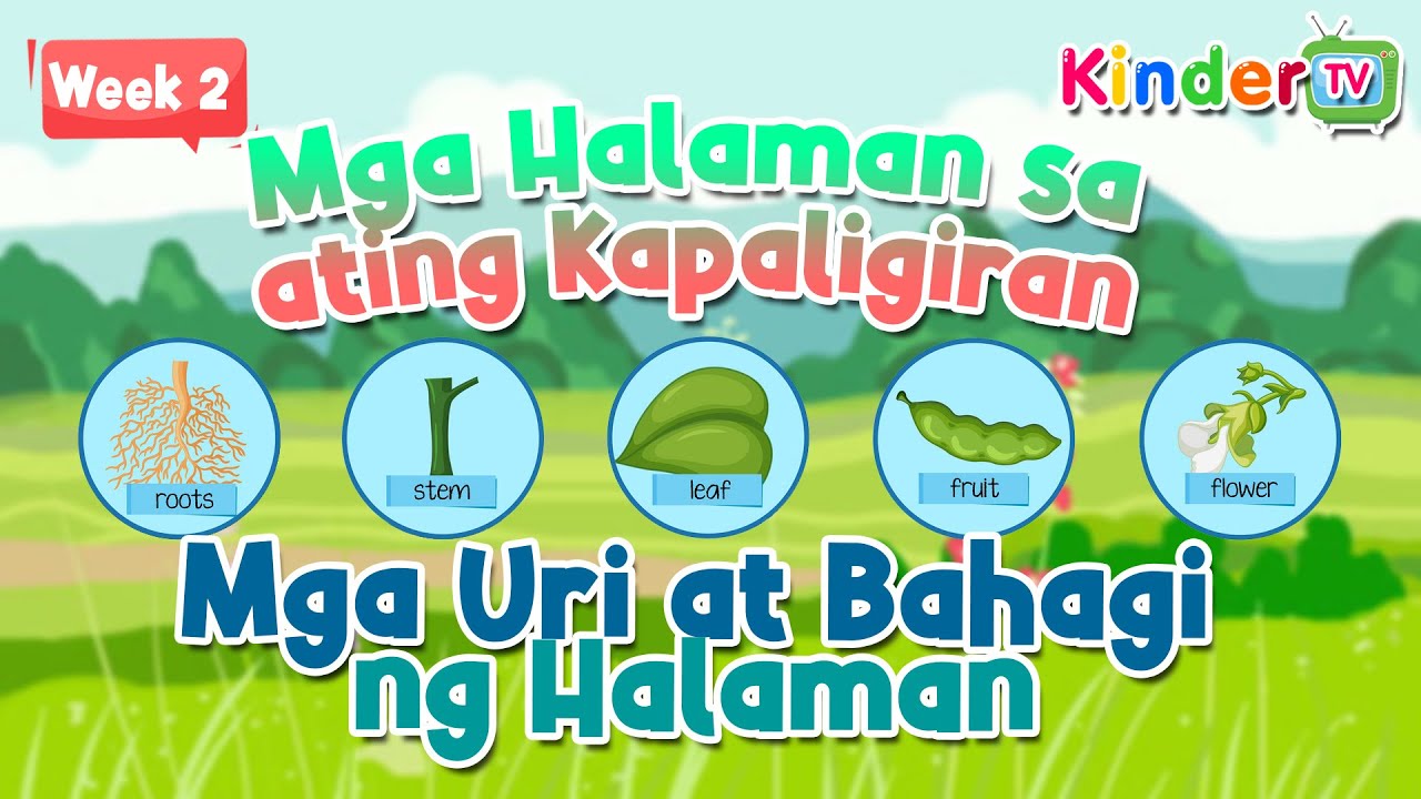 [Q4] KINDERGARTEN - WEEK 2 (MGA URI AT BAHAGI NG HALAMAN) PART 2