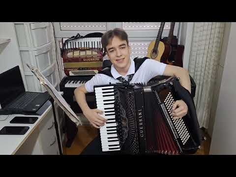 Marko Ristić - Da zna zora - Harmonika