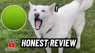 Jolly Pets Soccer Ball Review: Does It Really Work?