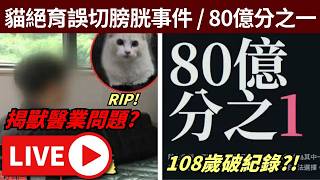 🔴好久不見傾計 // 貓貓絕育誤切膀胱 揭獸醫業問題? // 網頁遊戲日: 80億分之一 • ig: jimpae.hk • 25/10/2026【占皮VOD | S2E37】