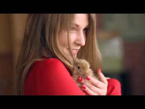 8 Марта 2016 NIX SOLUTIONS