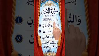 Download lagu 🌿 Surah At-Tin | A Beautiful Reminder of Allah’s Perfect Creation 🤍#shorts mp3
