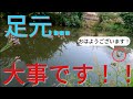 2021年6月8日【五三川】【養老水系】テッケル　ワッカー　足元からおはようございます🐟