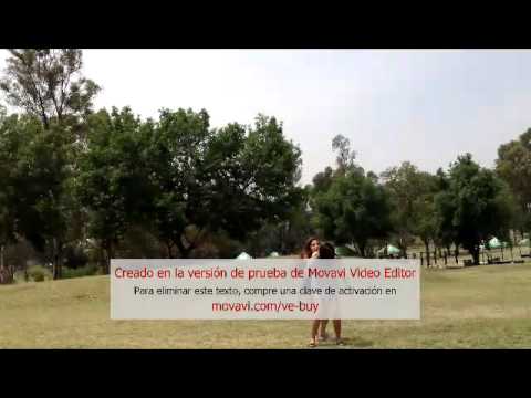 (Video Musical) Nobody to love - Sigma