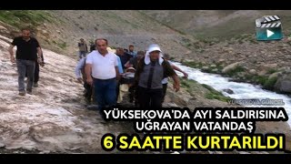 Yüksekova’da Ayı Saldırısına Uğrayan Vatandaş, 6 Saatte Kurtarıldı