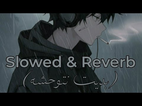 Cheikha Djamila Rziwia | bdit ntwahchah-بديت نتوحشه (Slowed & Reverb)