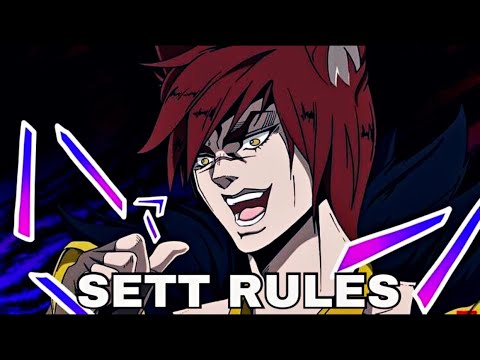 SETT MAINS RULE - Sett Montage