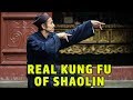 Wu Tang Collection - Real Kung Fu of Shaolin