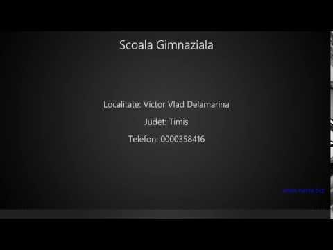 Scoala Gimnaziala Victor Vlad Delamarina