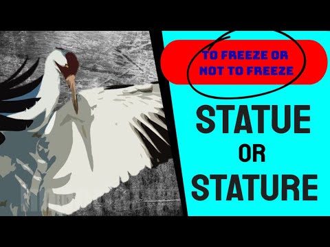 🛑🛑 Shaolin Kempo "STATUE" Of The Crane 🙄🙄 - What a Pain in the Name of the Crane🙄 - GM Jim Brassard