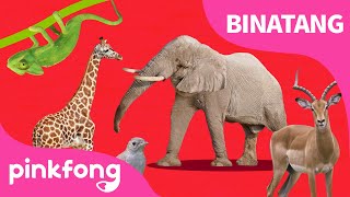 Yuk, ikut ABC Kereta Binatang | Lagu Binatang | Lagu Anak Bahasa Indonesia | Pinkfong dan Baby Shark