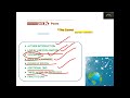 TNPSC Group 2 2A 2022 THE COMET PART A GRAMMAR GENERAL ENGLISH