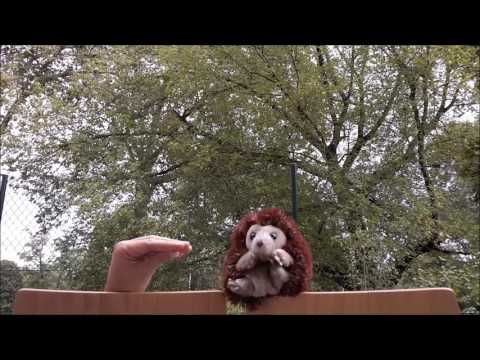 Frag den Igel - Folge 6 - Gibt es wahre Freundschaft unter Männern?